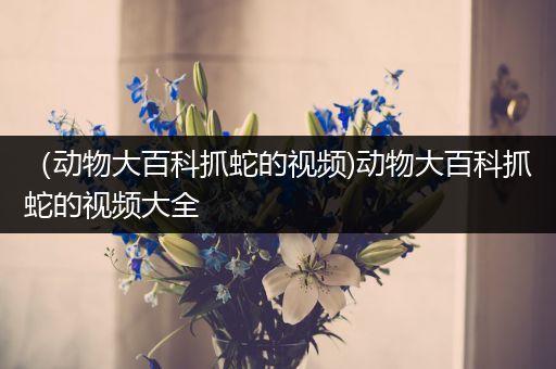 （动物大百科抓蛇的视频)动物大百科抓蛇的视频大全