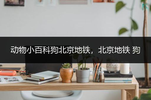动物小百科狗北京地铁，北京地铁 狗