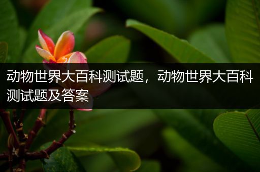 动物世界大百科测试题，动物世界大百科测试题及答案
