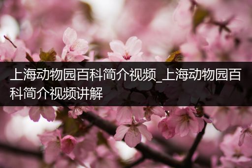上海动物园百科简介视频_上海动物园百科简介视频讲解