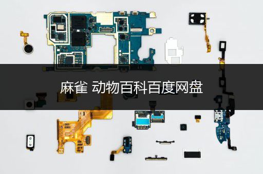 麻雀 动物百科百度网盘