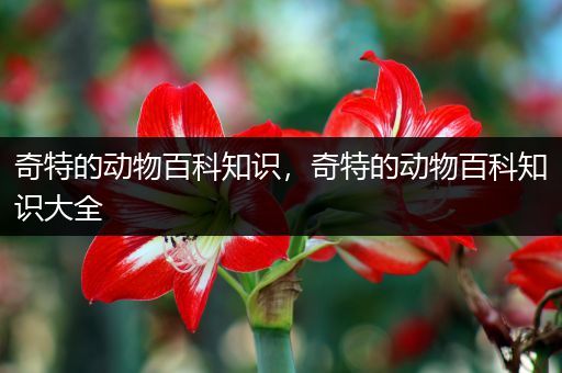 奇特的动物百科知识，奇特的动物百科知识大全