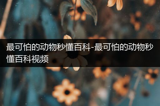 最可怕的动物秒懂百科-最可怕的动物秒懂百科视频