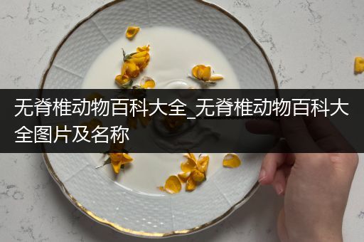 无脊椎动物百科大全_无脊椎动物百科大全图片及名称
