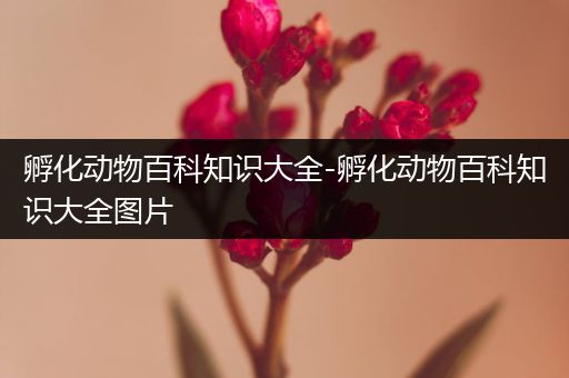 孵化动物百科知识大全-孵化动物百科知识大全图片