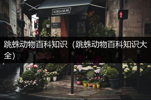 跳蛛动物百科知识（跳蛛动物百科知识大全）