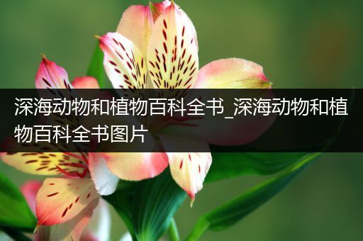 深海动物和植物百科全书_深海动物和植物百科全书图片