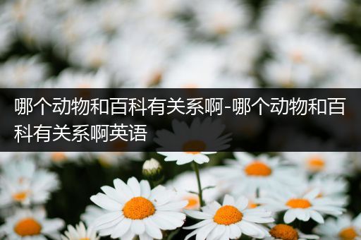 哪个动物和百科有关系啊-哪个动物和百科有关系啊英语
