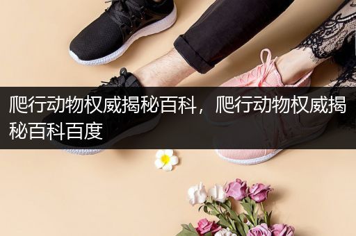 爬行动物权威揭秘百科，爬行动物权威揭秘百科百度