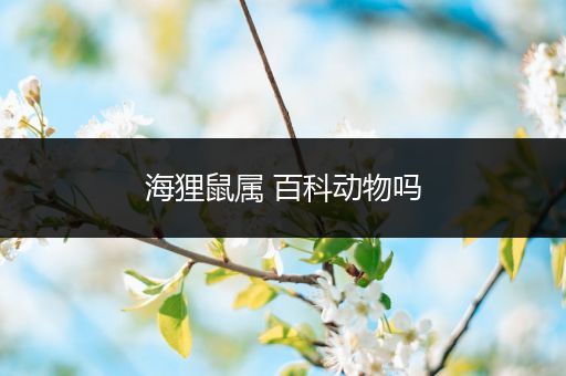 海狸鼠属 百科动物吗