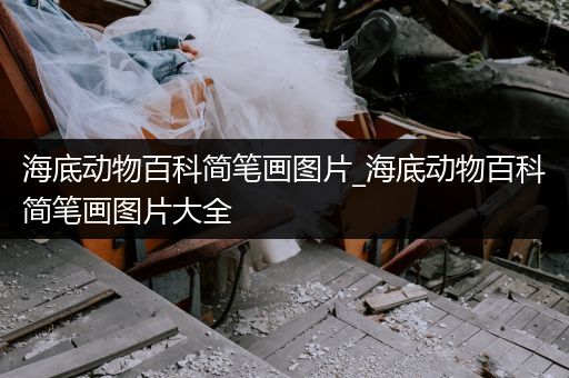 海底动物百科简笔画图片_海底动物百科简笔画图片大全