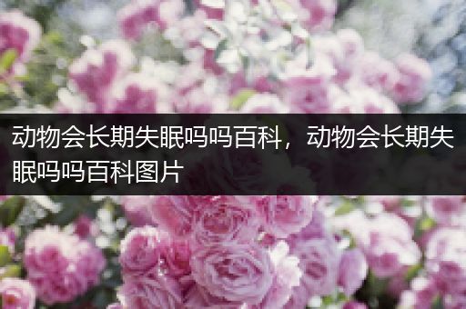 动物会长期失眠吗吗百科，动物会长期失眠吗吗百科图片