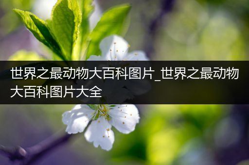 世界之最动物大百科图片_世界之最动物大百科图片大全