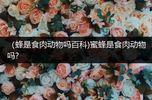 （蜂是食肉动物吗百科)蜜蜂是食肉动物吗?