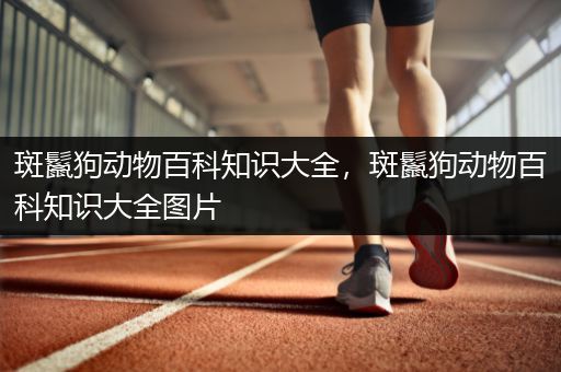 斑鬣狗动物百科知识大全，斑鬣狗动物百科知识大全图片