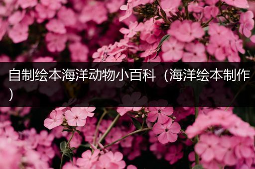 自制绘本海洋动物小百科（海洋绘本制作）