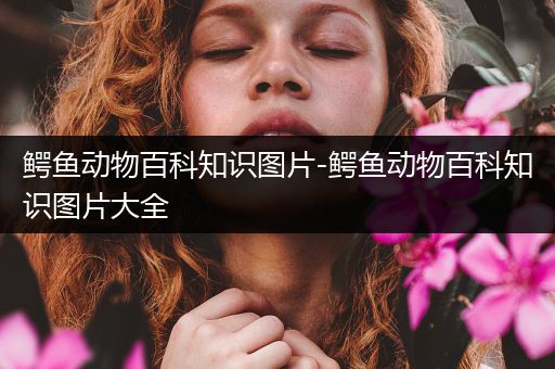 鳄鱼动物百科知识图片-鳄鱼动物百科知识图片大全
