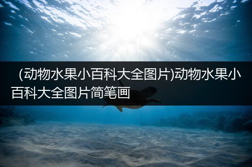 （动物水果小百科大全图片)动物水果小百科大全图片简笔画