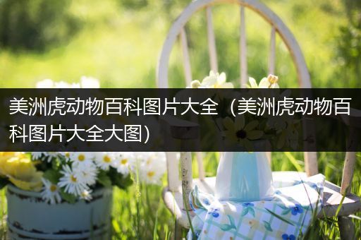 美洲虎动物百科图片大全（美洲虎动物百科图片大全大图）