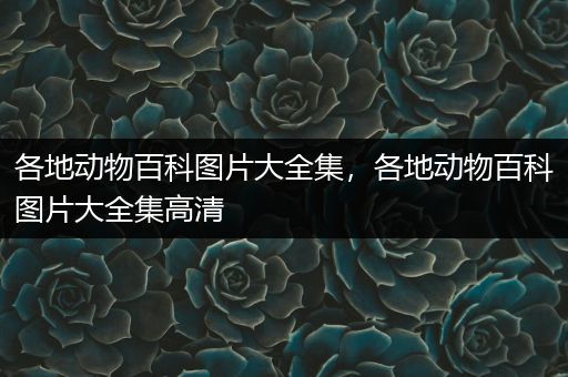 各地动物百科图片大全集，各地动物百科图片大全集高清