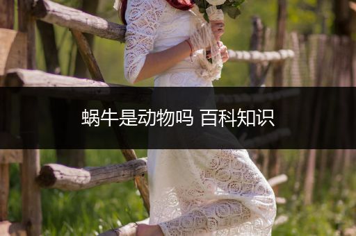 蜗牛是动物吗 百科知识