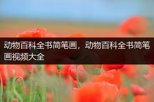 动物百科全书简笔画，动物百科全书简笔画视频大全