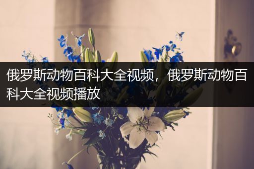 俄罗斯动物百科大全视频，俄罗斯动物百科大全视频播放