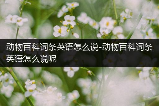 动物百科词条英语怎么说-动物百科词条英语怎么说呢