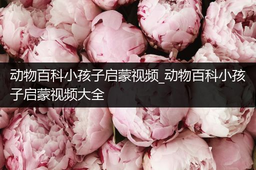 动物百科小孩子启蒙视频_动物百科小孩子启蒙视频大全