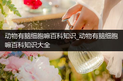 动物有脑细胞嘛百科知识_动物有脑细胞嘛百科知识大全