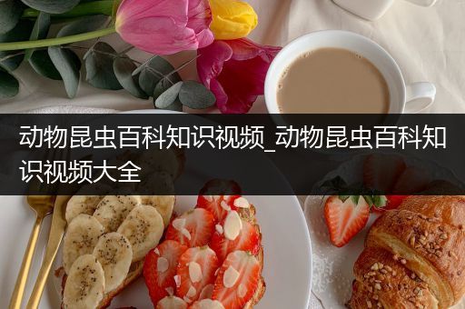 动物昆虫百科知识视频_动物昆虫百科知识视频大全