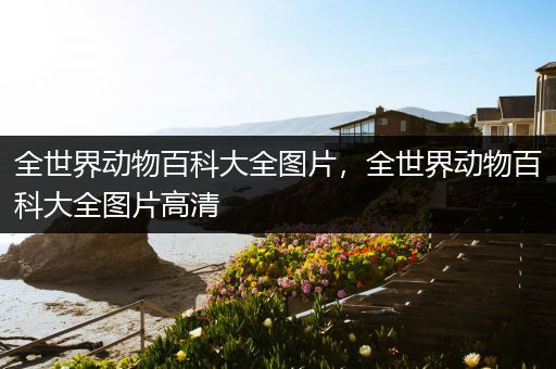 全世界动物百科大全图片，全世界动物百科大全图片高清