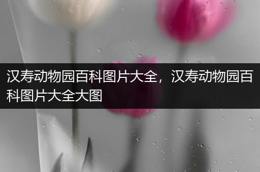 汉寿动物园百科图片大全，汉寿动物园百科图片大全大图