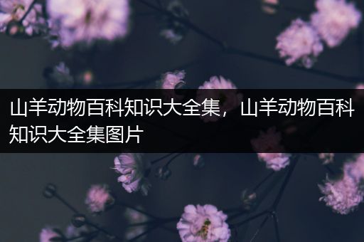 山羊动物百科知识大全集，山羊动物百科知识大全集图片
