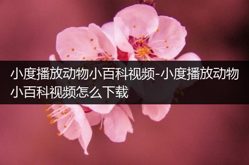 小度播放动物小百科视频-小度播放动物小百科视频怎么下载