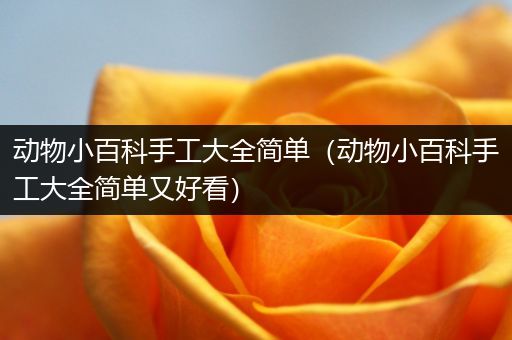 动物小百科手工大全简单（动物小百科手工大全简单又好看）