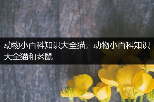 动物小百科知识大全猫，动物小百科知识大全猫和老鼠