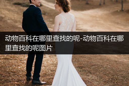 动物百科在哪里查找的呢-动物百科在哪里查找的呢图片