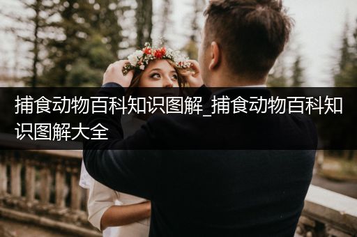 捕食动物百科知识图解_捕食动物百科知识图解大全