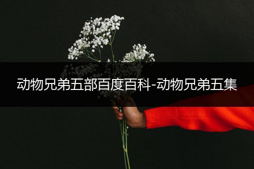 动物兄弟五部百度百科-动物兄弟五集