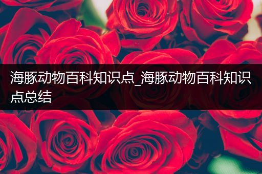 海豚动物百科知识点_海豚动物百科知识点总结