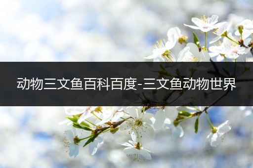 动物三文鱼百科百度-三文鱼动物世界