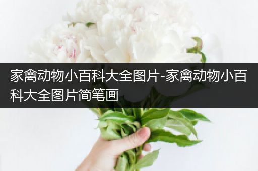家禽动物小百科大全图片-家禽动物小百科大全图片简笔画