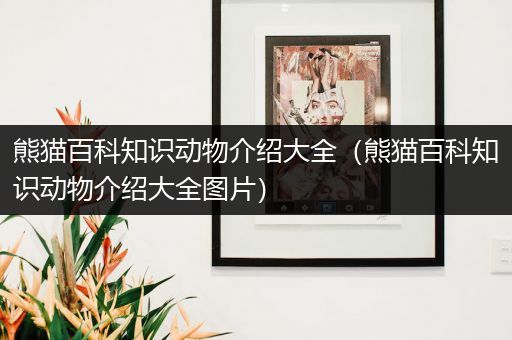 熊猫百科知识动物介绍大全（熊猫百科知识动物介绍大全图片）