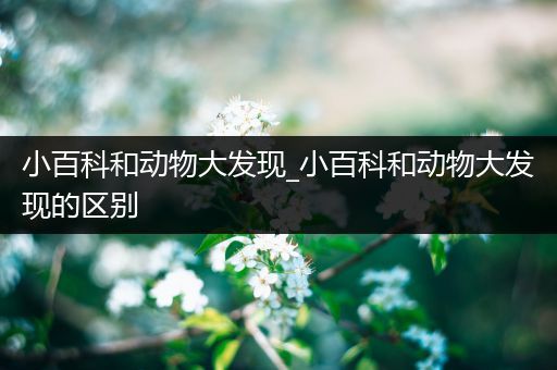 小百科和动物大发现_小百科和动物大发现的区别