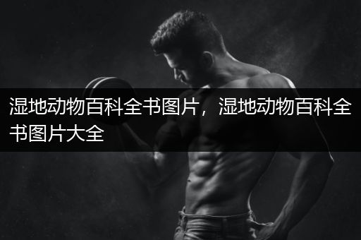 湿地动物百科全书图片，湿地动物百科全书图片大全