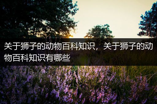 关于狮子的动物百科知识，关于狮子的动物百科知识有哪些