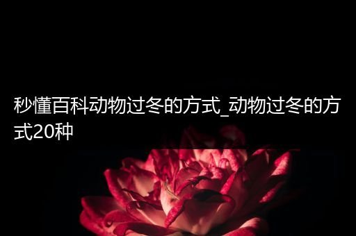 秒懂百科动物过冬的方式_动物过冬的方式20种