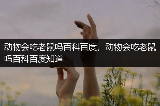 动物会吃老鼠吗百科百度，动物会吃老鼠吗百科百度知道