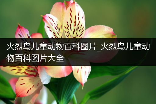火烈鸟儿童动物百科图片_火烈鸟儿童动物百科图片大全